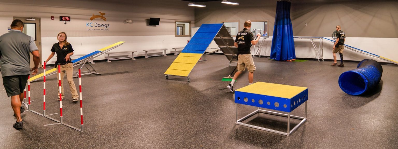 Best Kansas City Dog Training in Overland Park, KS by KC Dawgz