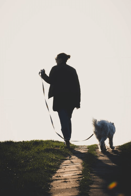 Man walking his dog with a leash