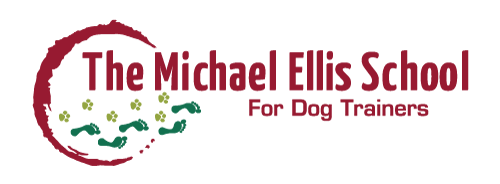 michael-ellis-school-logo