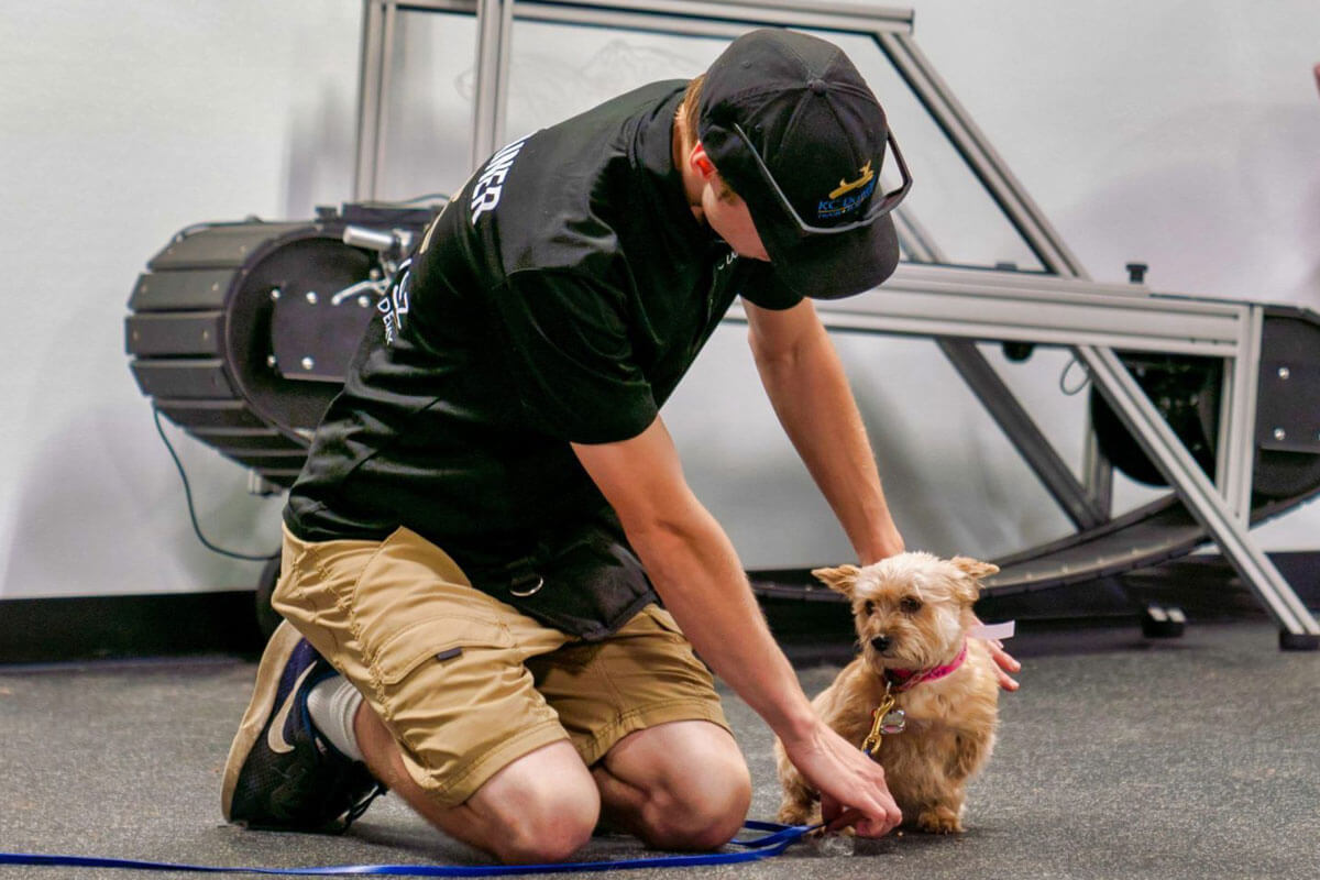 Board and shop train service dog