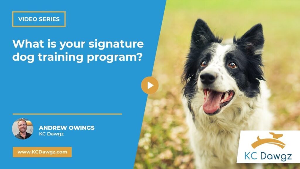 signature dog training program