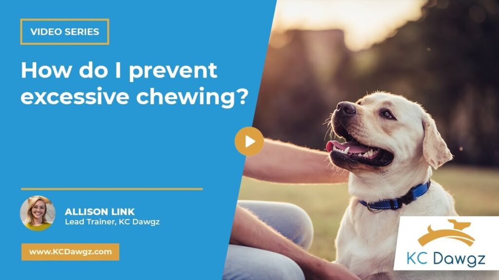 prevent excessive chewing