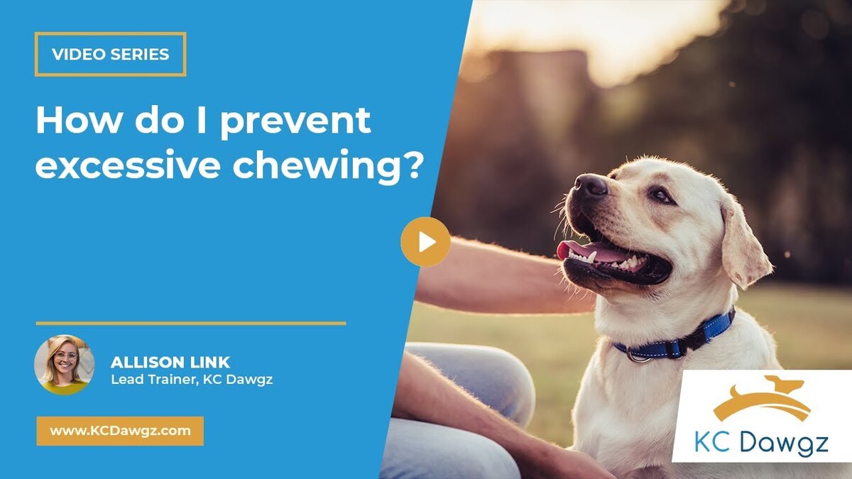 prevent excessive chewing