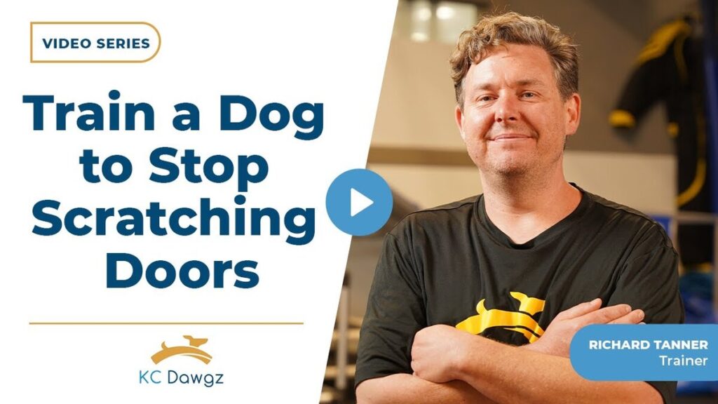 train a dog to stop scratching doors