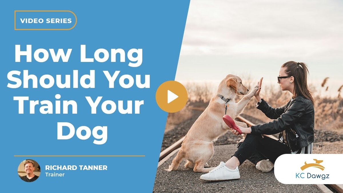 how long should i train my dog