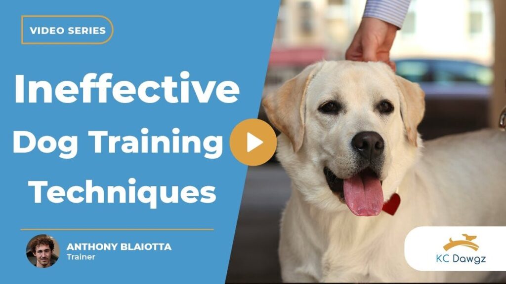 ineffective dog training techniques