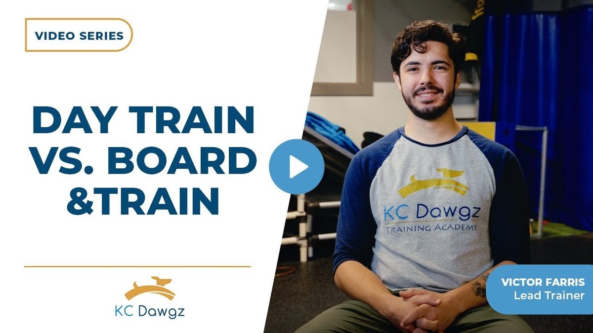board & train