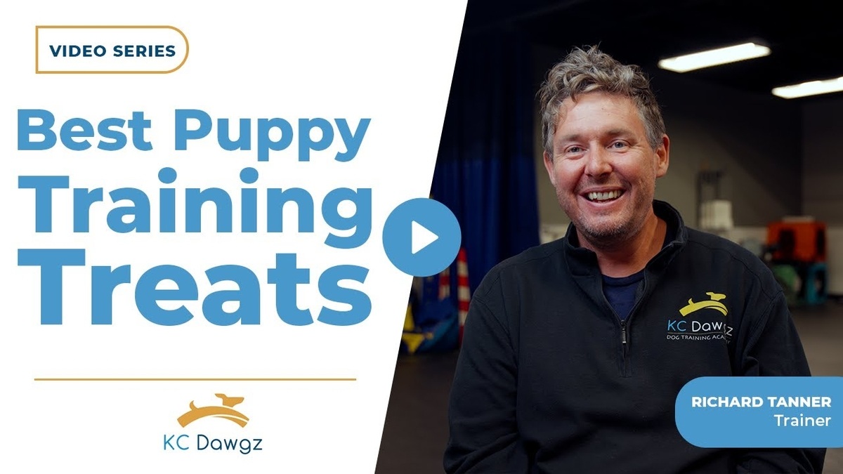 best puppy training treats
