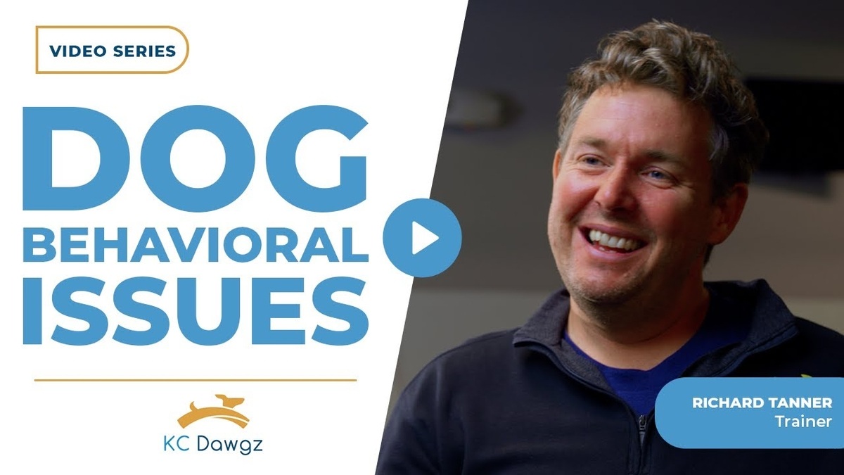 dog behavioral issues