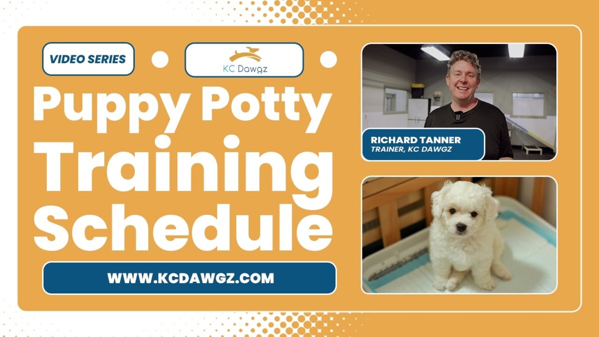 Puppy Potty Training Schedule