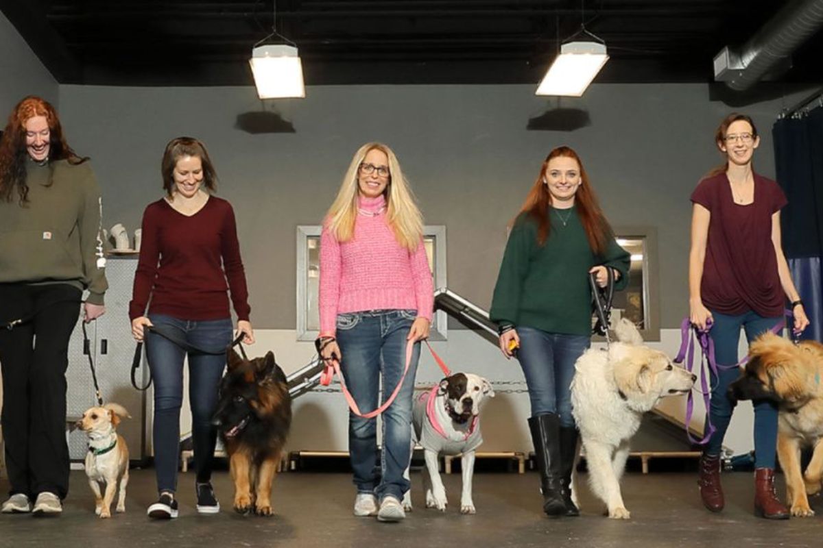 KC Dawgz Puppy Training Classes Near you in Overland Park, KS