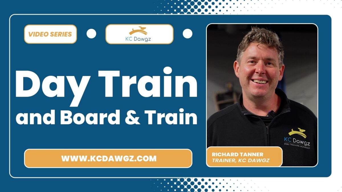 day train and board and train