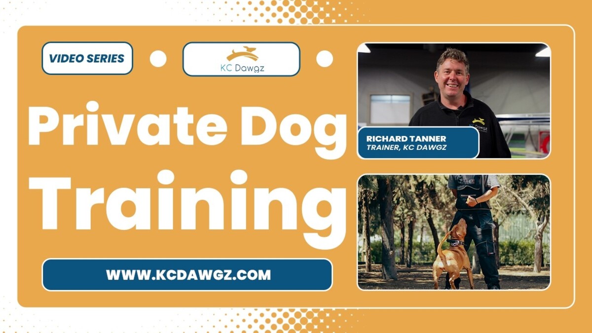 private dog training